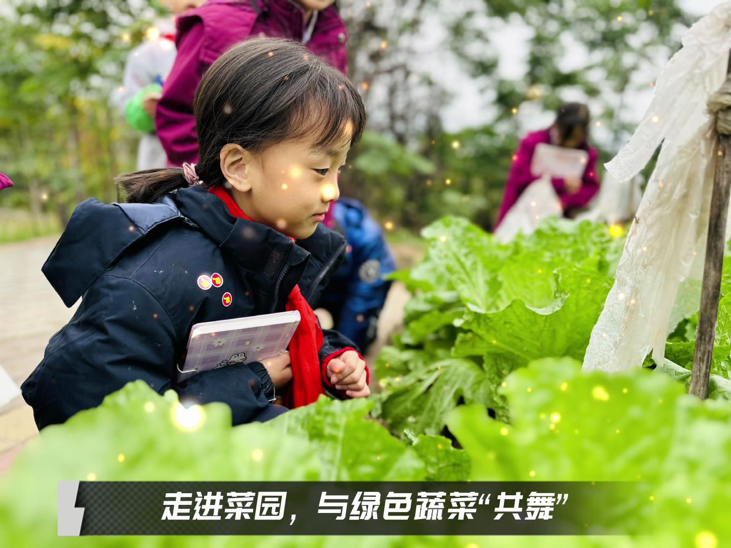 #美好學(xué)校|留校時(shí)光，走出教室，與綠色蔬菜共舞